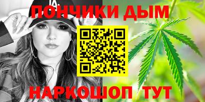 гидра Будённовск