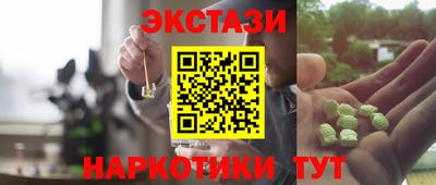 гидра Будённовск