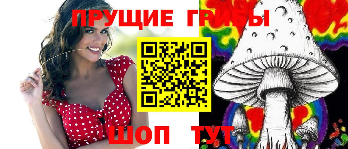 Тавда  где купить наркотик  Вход с VPN  Галлюциногенные грибы мухоморы 