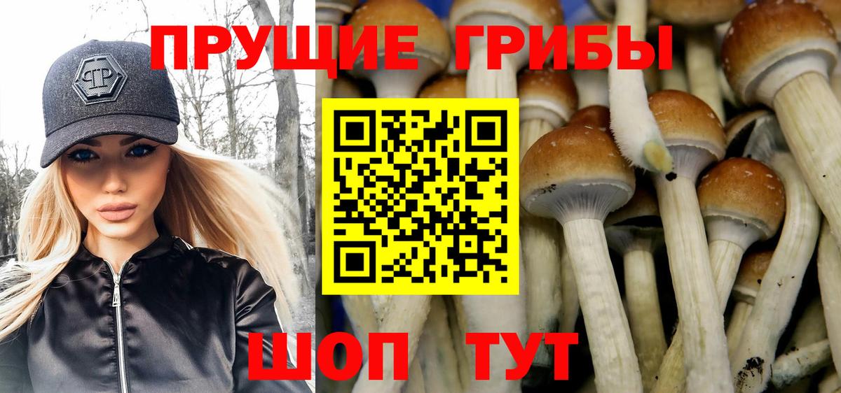 Псилоцибиновые грибы прущие грибы Тавда